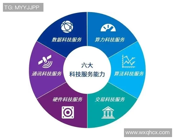 重磅专题:探索成都排球队在阵地战中的创新与发展之路